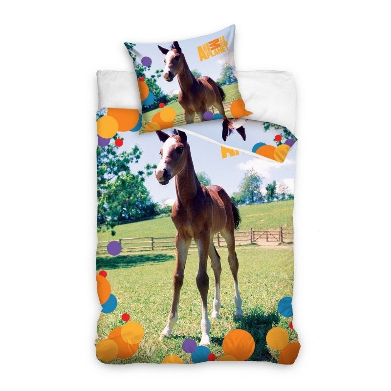 SACCO COPRIPIUMINO +  1 FEDERA ANIMAL PLANET 160X200/70X80